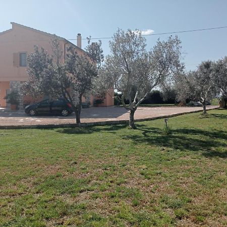 Villa In Campagna Tra Natura E Verde Montalto di Castro Kültér fotó
