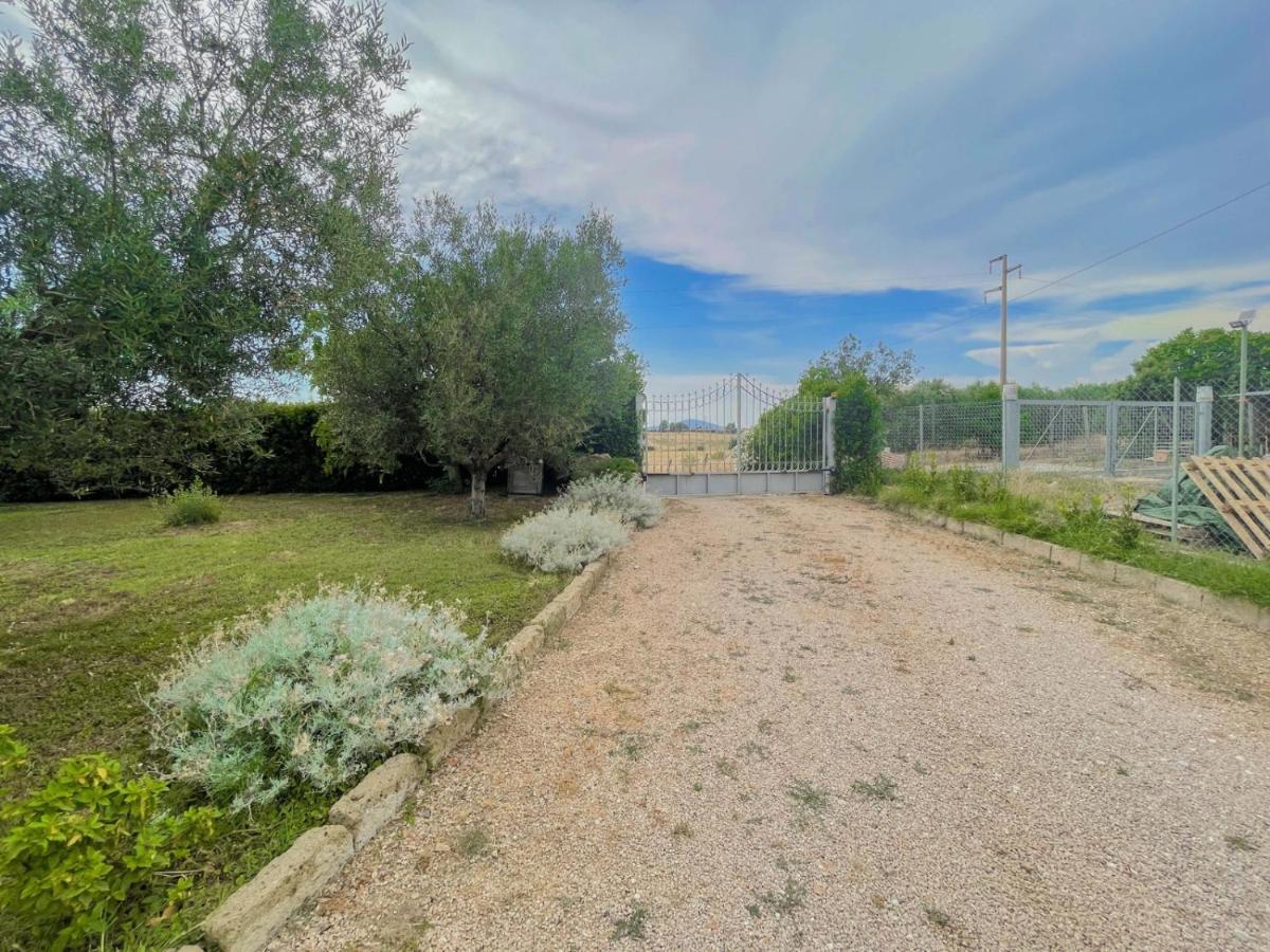 Villa In Campagna Tra Natura E Verde Montalto di Castro Kültér fotó