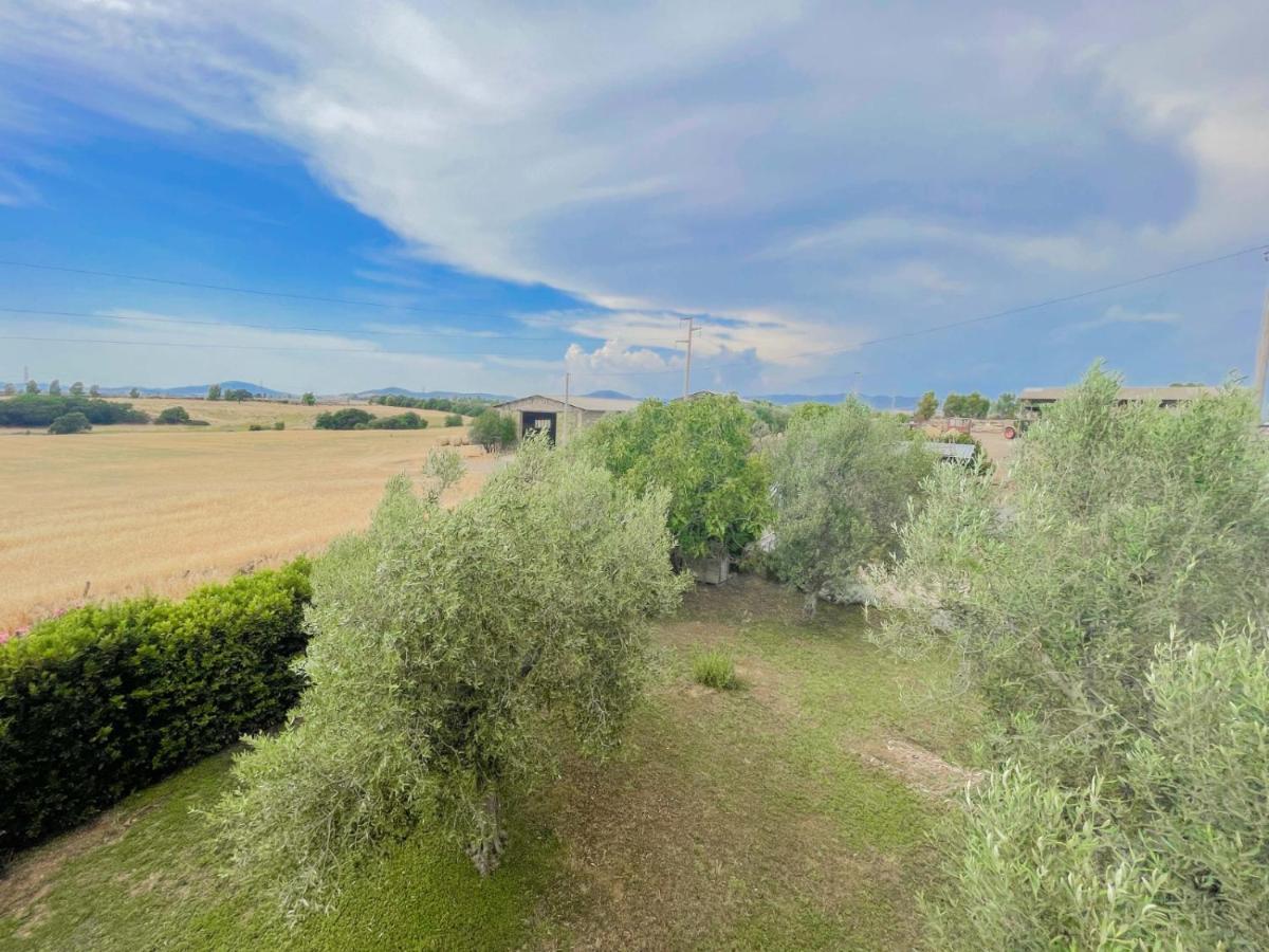 Villa In Campagna Tra Natura E Verde Montalto di Castro Kültér fotó