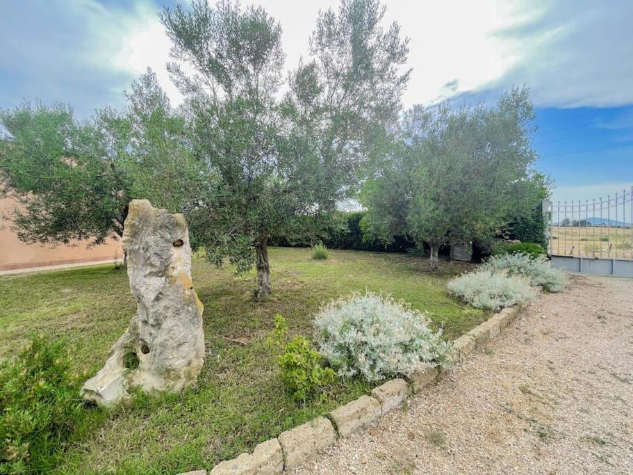 Villa In Campagna Tra Natura E Verde Montalto di Castro Kültér fotó