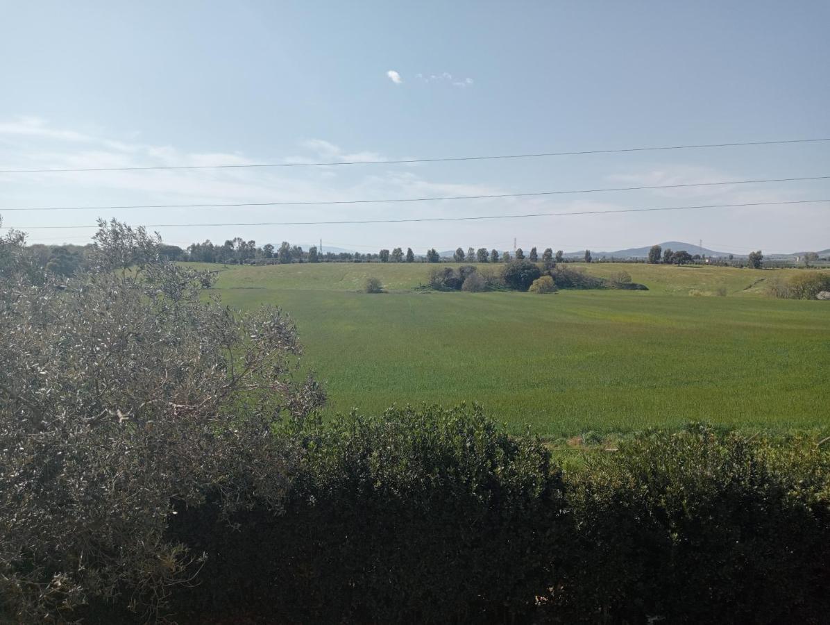 Villa In Campagna Tra Natura E Verde Montalto di Castro Kültér fotó