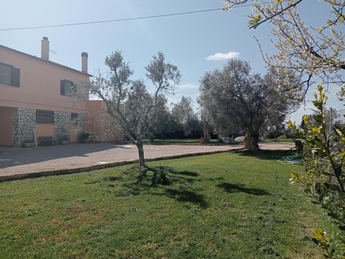 Villa In Campagna Tra Natura E Verde Montalto di Castro Kültér fotó