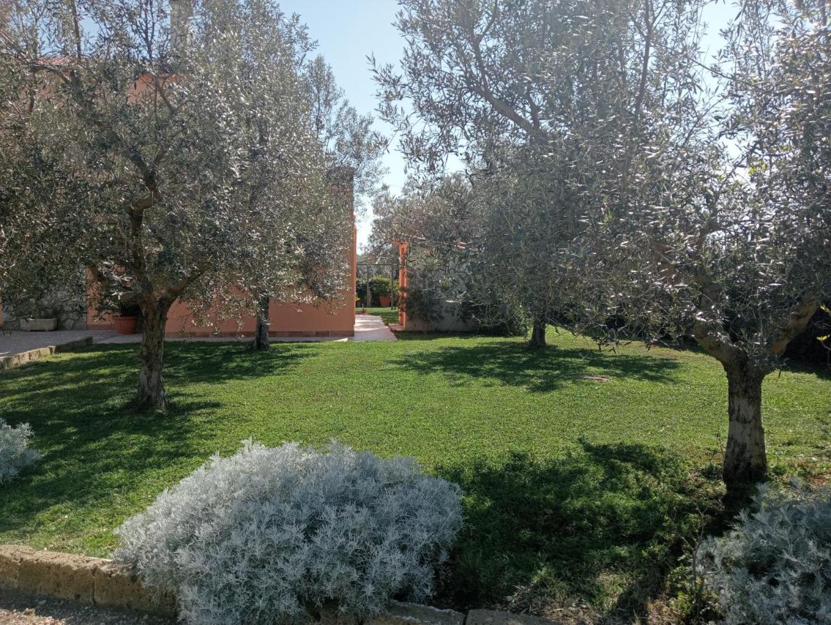 Villa In Campagna Tra Natura E Verde Montalto di Castro Kültér fotó