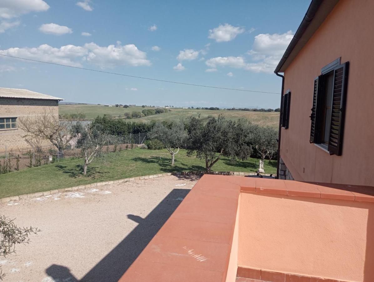 Villa In Campagna Tra Natura E Verde Montalto di Castro Kültér fotó